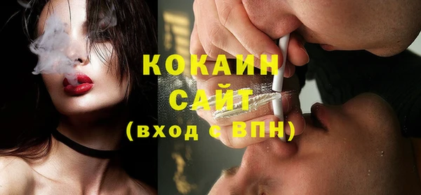 Альфа ПВП Аша
