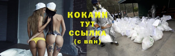 тгк Карпинск