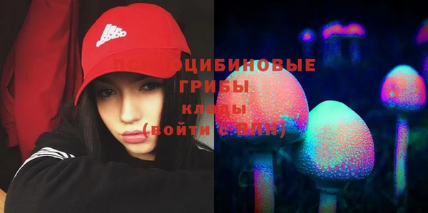 дурь Карталы