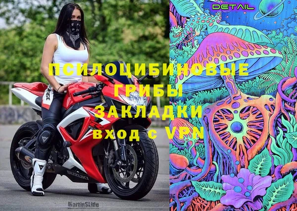 прущая мука Каменка