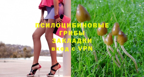 гидропоника Кодинск